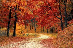 Fall Updates