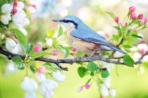 Spring has Sprung!